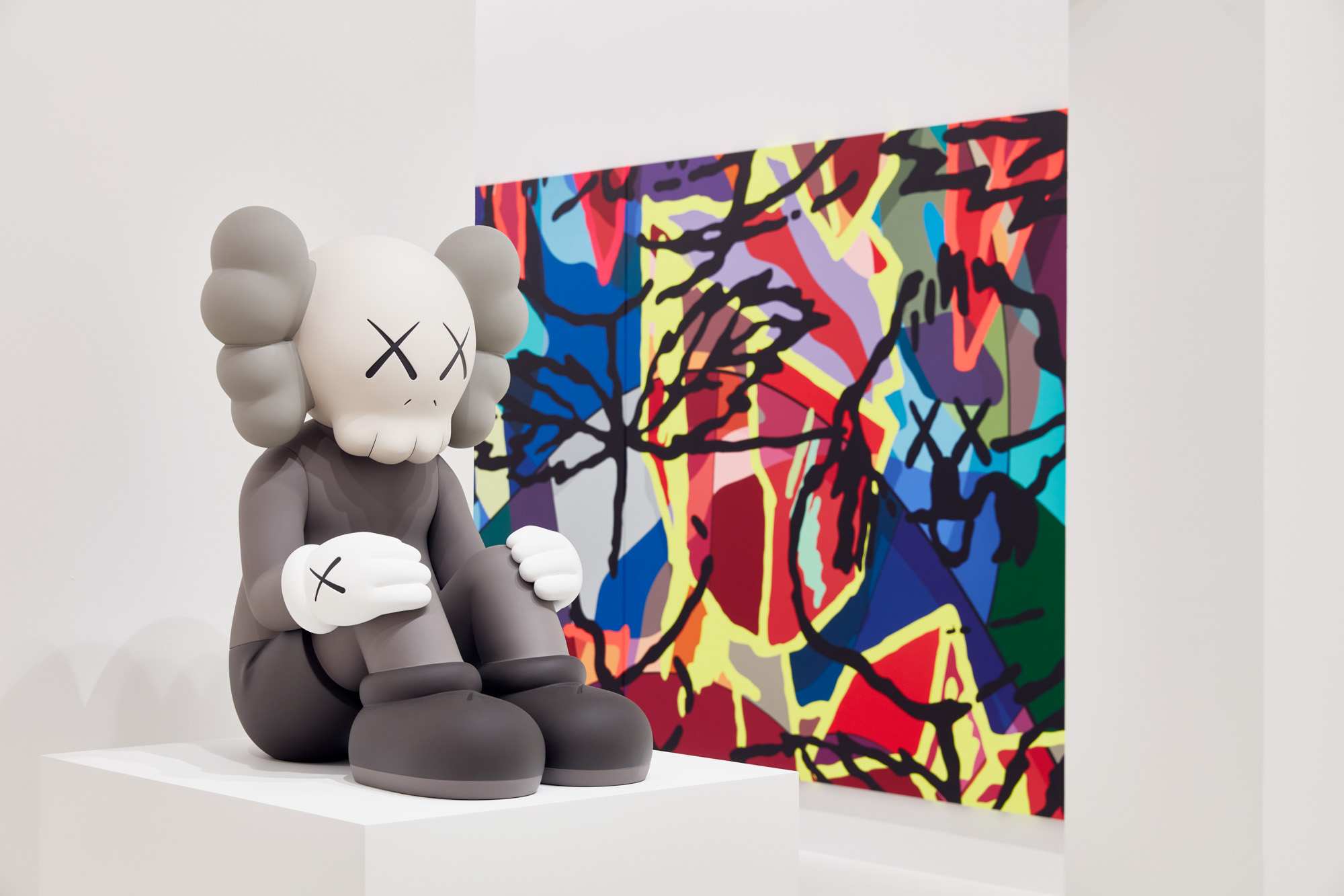 Kaws картина по номерам